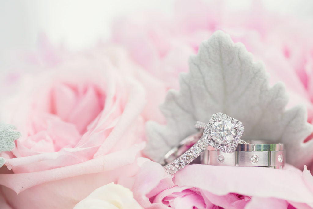 pink roses and silver wedding band and engagement ring set. Photo by Vanessa Joy Photography