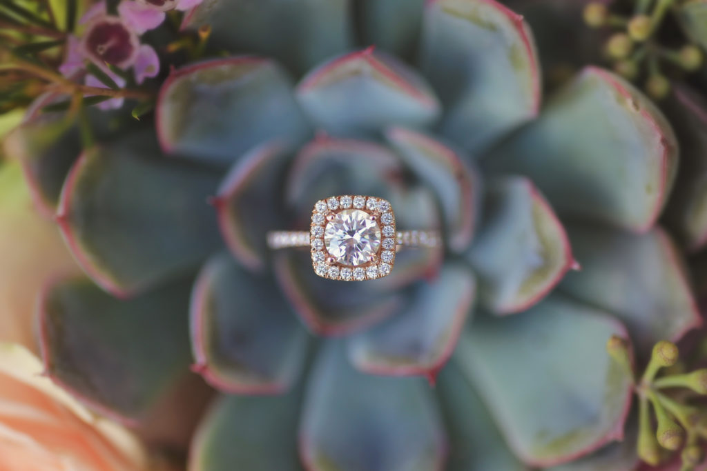 succulent detail shot of engagement ring. Photo by Vanessa Joy Photography.