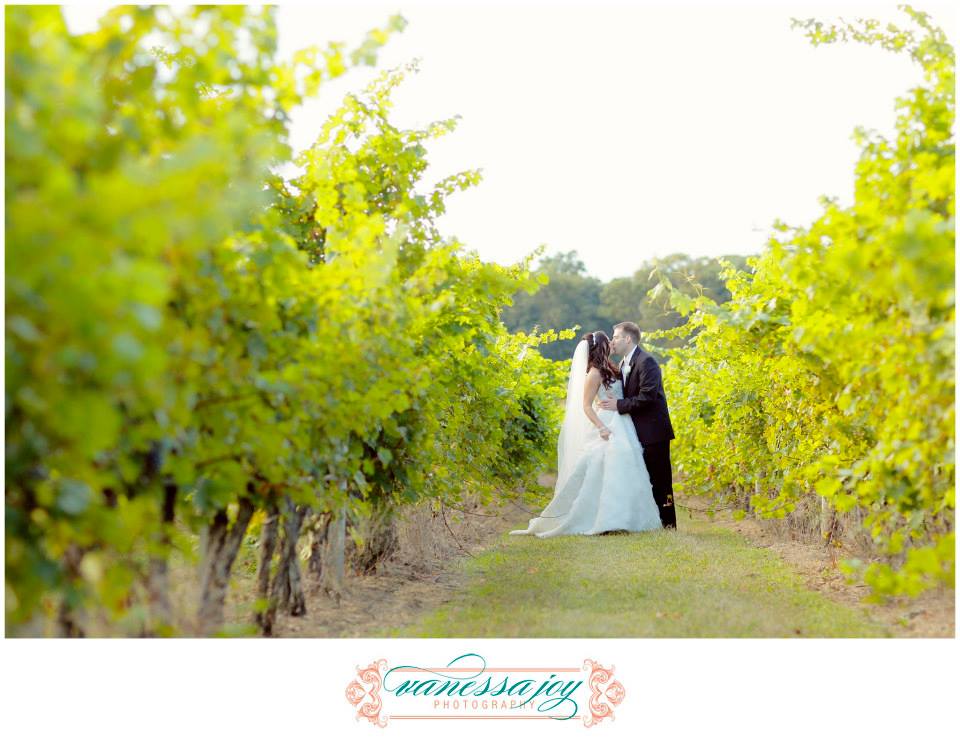 laurita winery wedding  photos