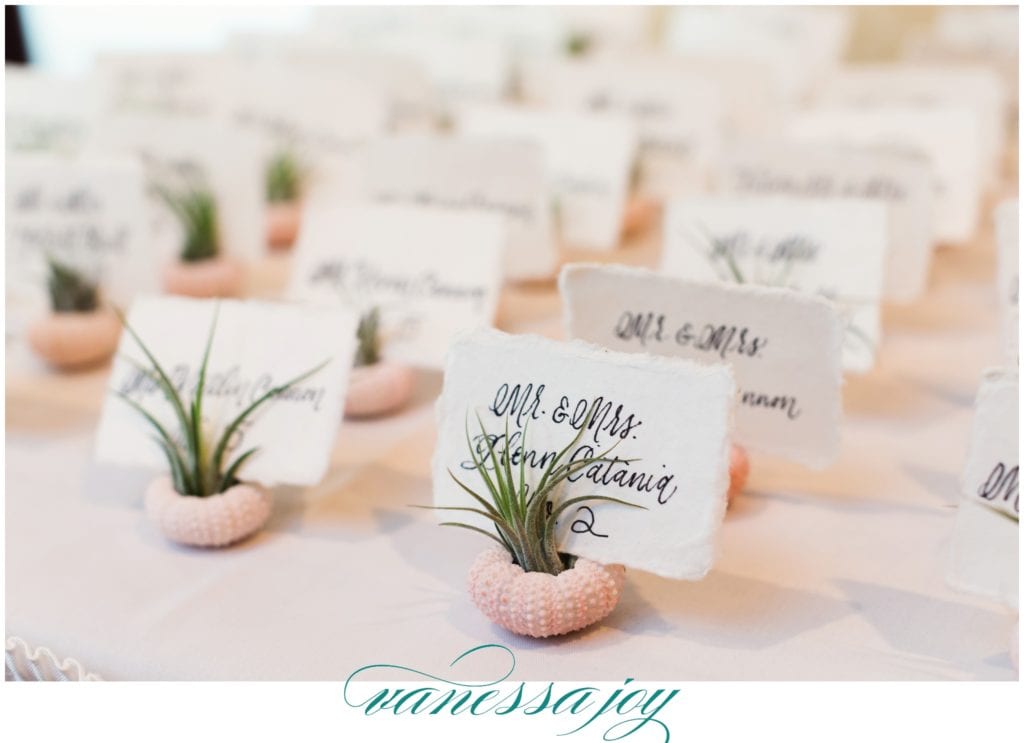 air plants for wedding favors