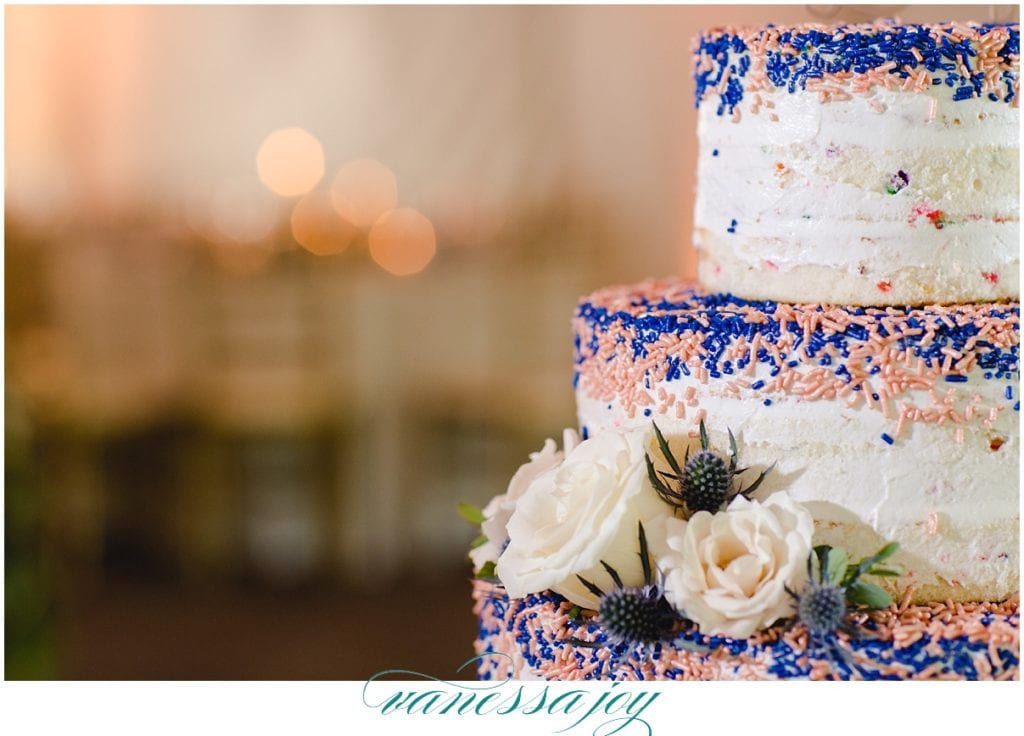 Frungillo Caterers, indigo and peach sprinkles on wedding cake