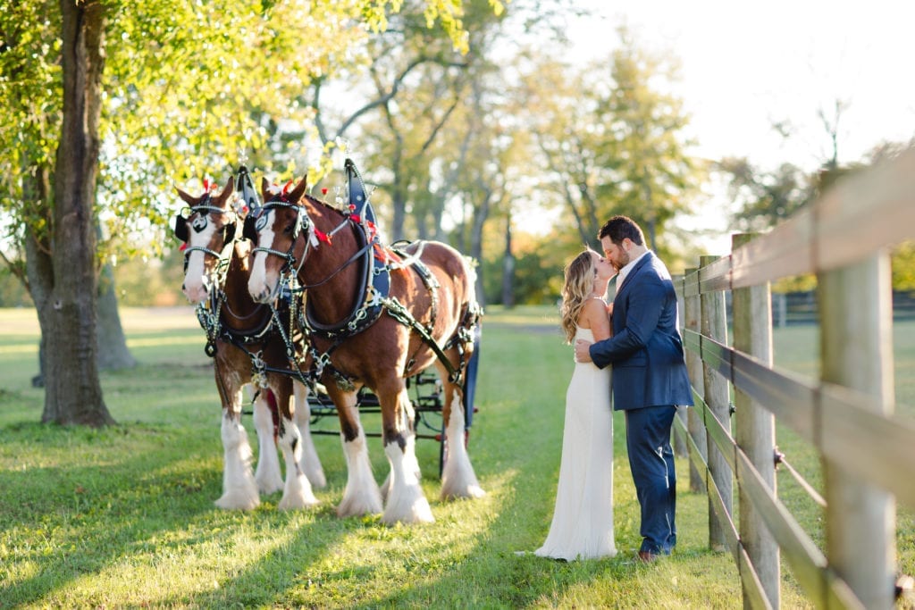 clydesdale horses, engagement photo inspiration, new jersey wedding photographer