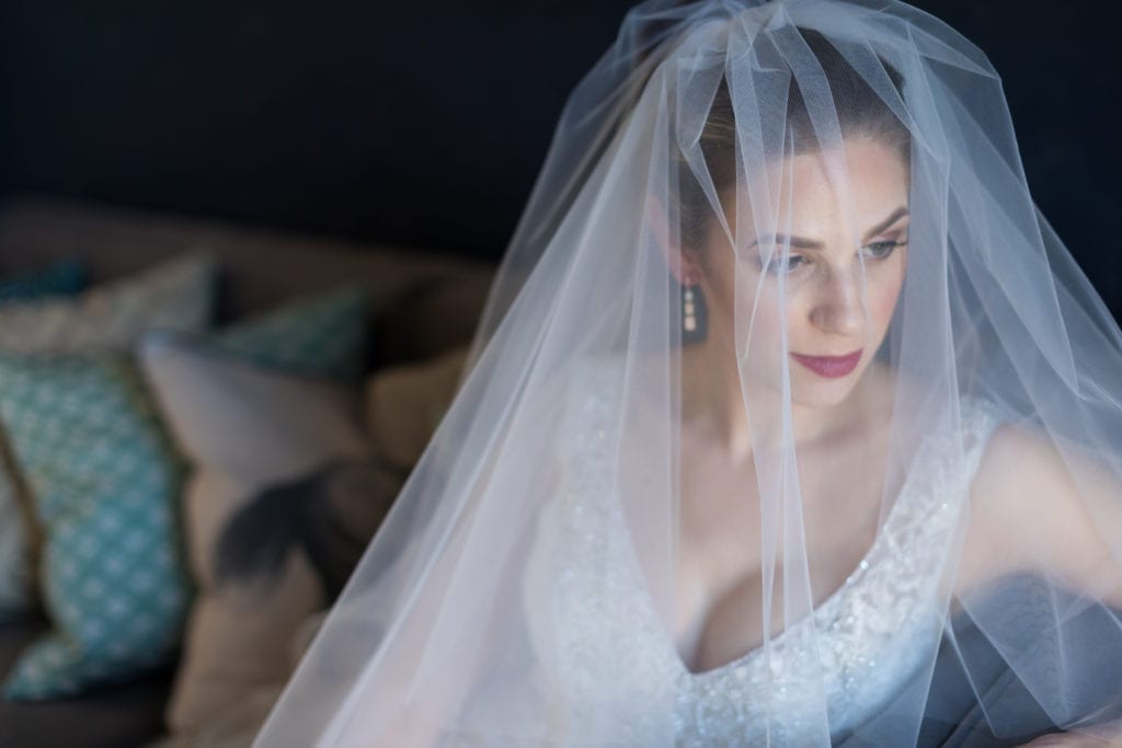 bride details; wedding veil