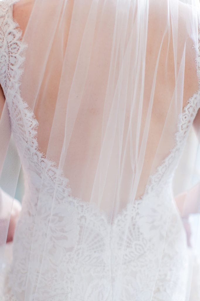 Pnina Tornai wedding gown; plunge back wedding dress