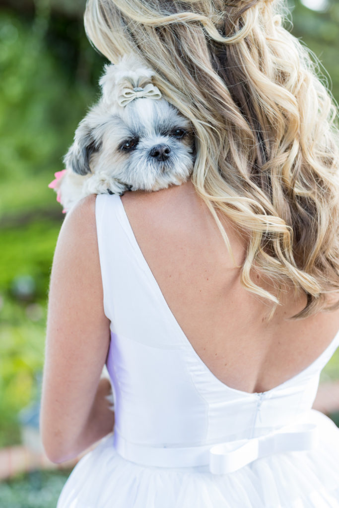 Bride and dog on wedding day. Photo by Vanessa Joy Photography